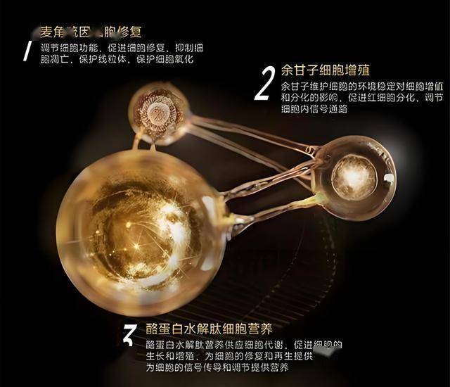 怎么做ec外汇代理股票量化交易影片教程，能否变更你的理财命运？